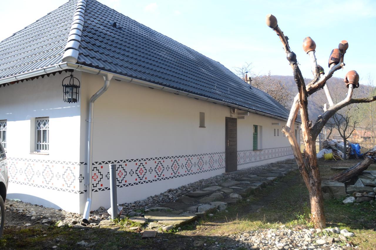 Gospodaria Lui Nea Ion Vama Buzaului Luaran gambar